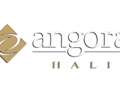 ANGORA HALI